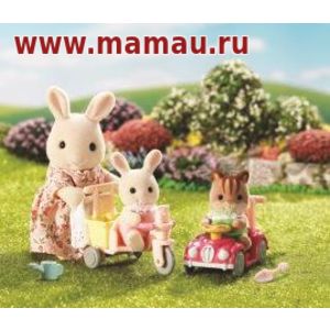 Кликните для увеличения изображения